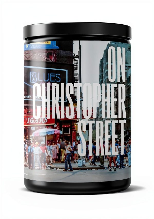 University of Chicago Press LGBTQ Literary Criticism Book-0