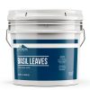 Earthborn Elements Basil Leaves Dried Herb Resealable Bucket-0
