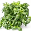 Earthborn Elements Basil Leaves Dried Herb Resealable Bucket-3