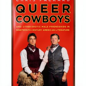 Palgrave Macmillan LGBTQ Literary Criticism Kindle Edition-0