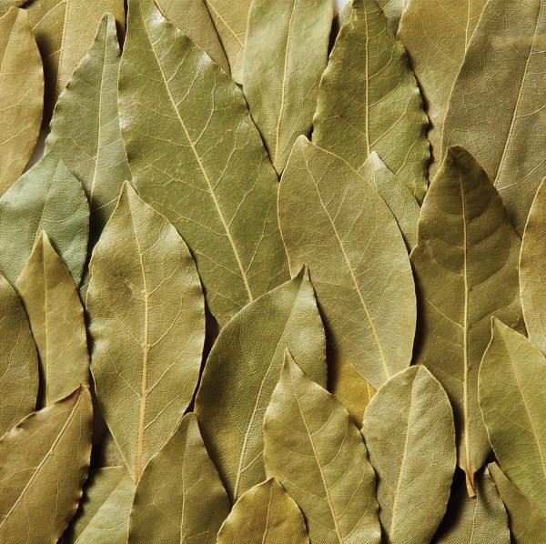 Spice Classics Bay Leaves 8 Ounce Whole Culinary Herbs-6