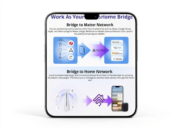 iHost Smart Home Hub AIBridge-26 Local Control with Zigbee LAN Support-6