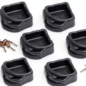 Spider Micro Water Bowls 6‑Pack by FUATY – Resin Dish for Tarantulas-0