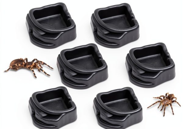 Spider Micro Water Bowls 6‑Pack by FUATY – Resin Dish for Tarantulas-0