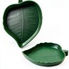 Terrarium Bowls 4Pack Feeding Dishes Leaf & Mango Shaped by SLSON-2