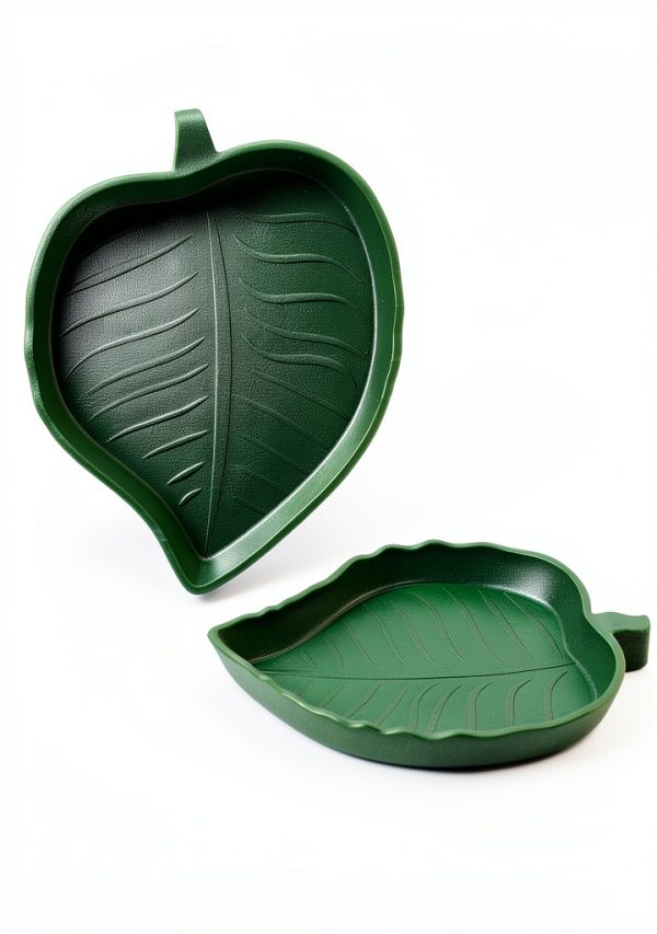 Terrarium Bowls 4Pack Feeding Dishes Leaf & Mango Shaped by SLSON-2