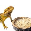 Reptile Water and Food Bowls CalPalmy 2 Pack Small Natural Tree Trunk-1