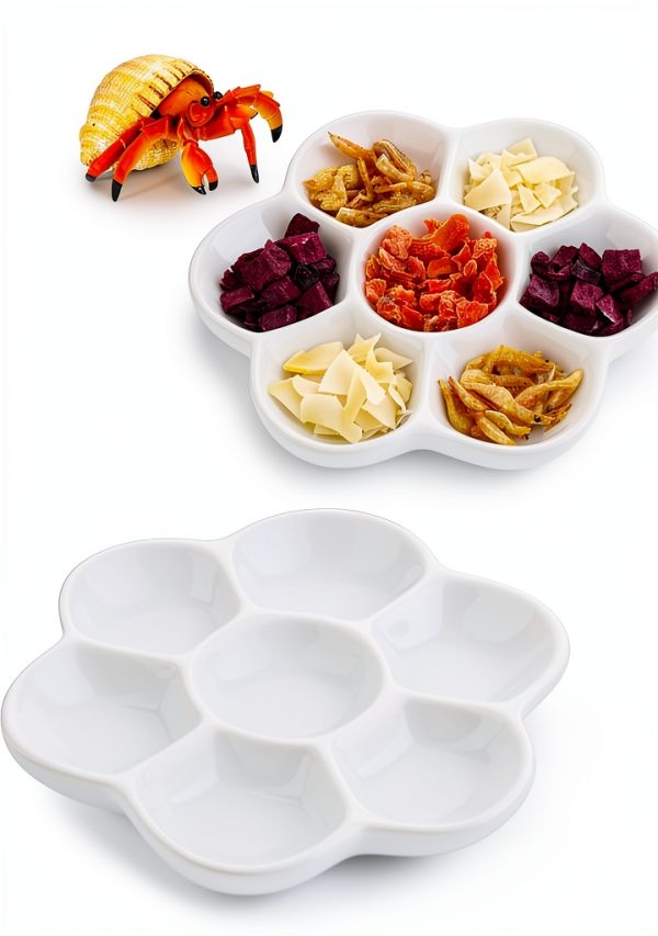 Hermit Crab Food Dish DQITJ 2pcs Ceramic Bowl 7 Compartments White-0