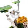 Jumping Spider Feeding Dish Set Julang Magnetic Water Bowl & Tongs-3
