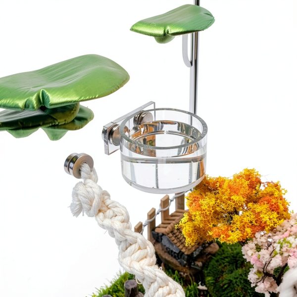 Jumping Spider Feeding Dish Set Julang Magnetic Water Bowl & Tongs-3