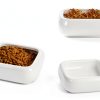 Reptile Food Bowls Ceramic Square Dish by LEETOYI White Medium 1-Pack-6
