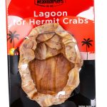 Fluker's Lagoon Water Bowl with Steps for Hermit Crabs – Substrate Fit-0