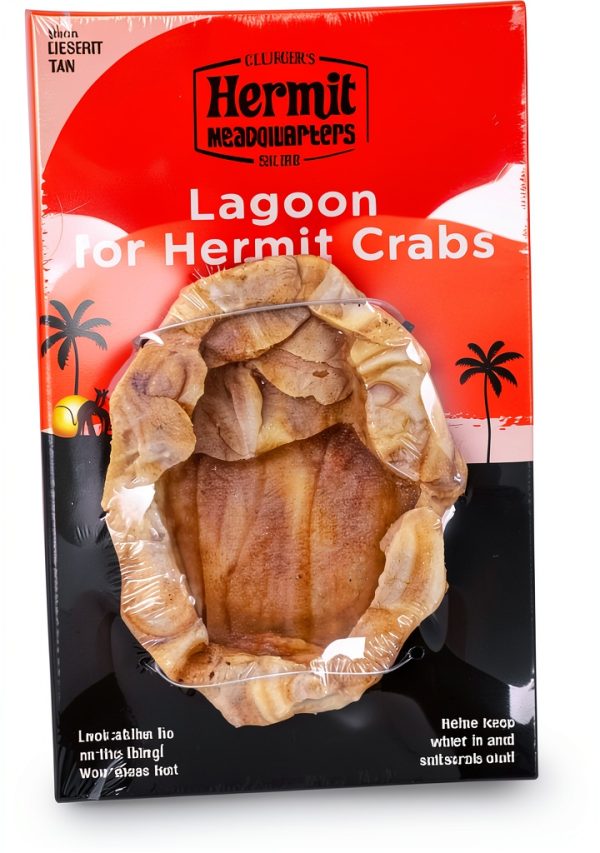 Fluker's Lagoon Water Bowl with Steps for Hermit Crabs – Substrate Fit-0