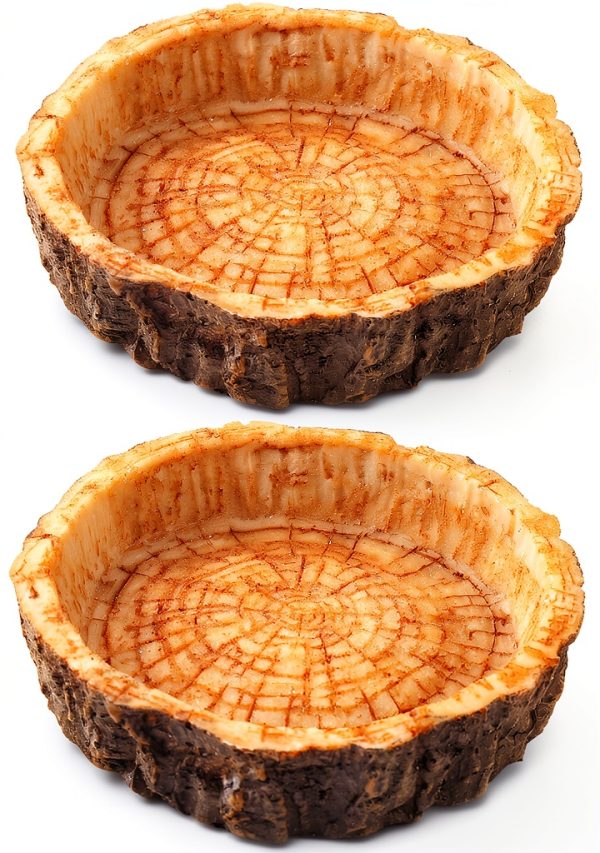 Reptile Water and Food Bowls CalPalmy 2 Pack Small Natural Tree Trunk-0