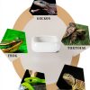 Reptile Food Bowls Ceramic Square Dish by LEETOYI White Medium 1-Pack-4