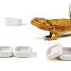 Reptile Food Bowls Ceramic Square Dish by LEETOYI White Medium 1-Pack-1