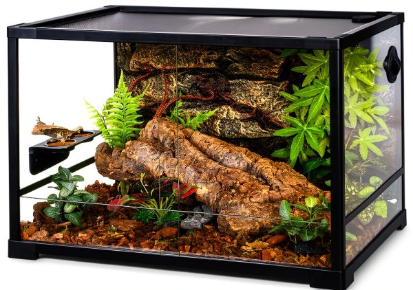 Magnetic Gecko Feeding Ledge CAVACHEW ABS Foldable Bowl with 6 Cups-6