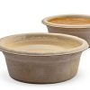 Pangea Large 1.5oz Paper Crested Gecko Food Water Cups 100 Mini Bowls-3