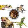 Crested Gecko Feeding Cups by YOJOR 0.5oz Bowls, 100‑Piece Set-2