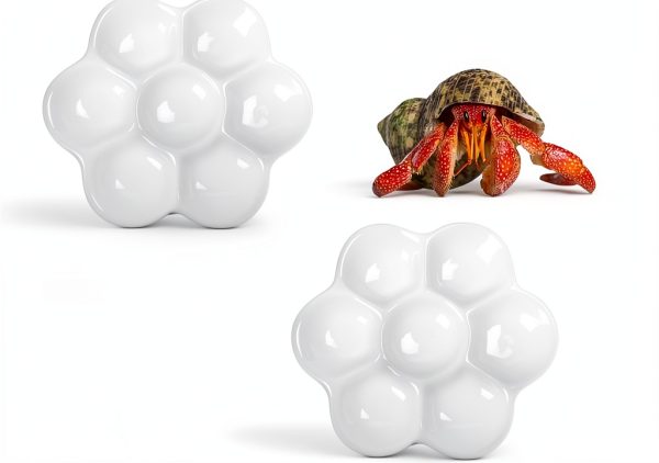Hermit Crab Food Dish DQITJ 2pcs Ceramic Bowl 7 Compartments White-3