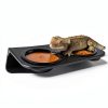 Magnetic Gecko Feeding Ledge CAVACHEW ABS Foldable Bowl with 6 Cups-1