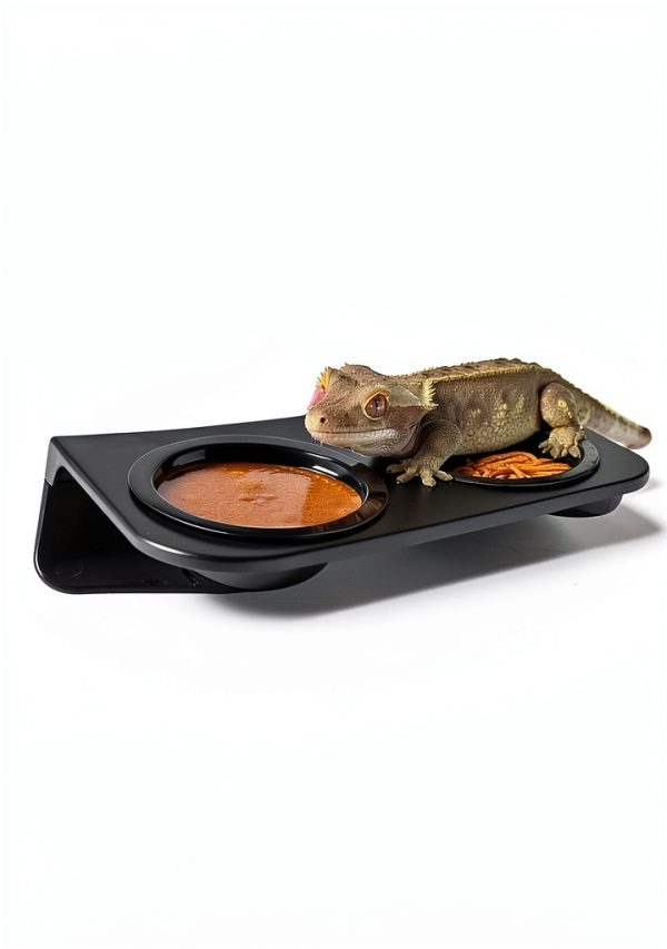 Magnetic Gecko Feeding Ledge CAVACHEW ABS Foldable Bowl with 6 Cups-1