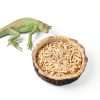 Reptile Water and Food Bowls CalPalmy 2 Pack Small Natural Tree Trunk-4
