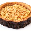 Reptile Water and Food Bowls CalPalmy 2 Pack Small Natural Tree Trunk-5