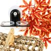 SLSON Gecko Feeder Ledge Acrylic Improved Suction Cup Reptile Feeder with 20 Pack 1 oz Plastic Bowls for Reptiles Food and Water Feeding,Black-6