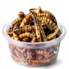 ANCKNE 200 pcs 0.5oz Crested Gecko Food and Water Feeding Cups | Reptile Feeder Bowls | for Lizard and Other Small Pet Ledge Accessories Supplies-2