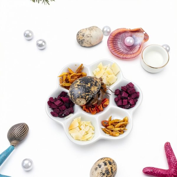Hermit Crab Food Dish DQITJ 2pcs Ceramic Bowl 7 Compartments White-1
