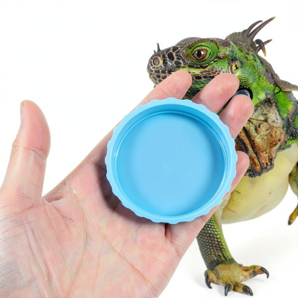 Crested Gecko Bowl Thinp Silicone Set of 6 Colors-3