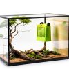 Reptile Corner Hunting Bowl - Glass Mount Insect Feeding Box for Reptile with Suction Cup which is Super Tight, Green, 6.29inch - M Size-3