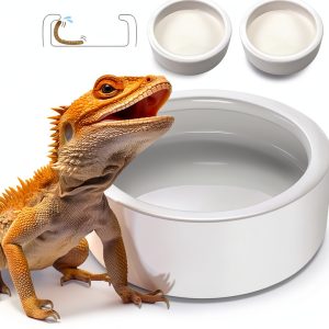Reptile Food Dish Bowl, Worm Water Dish Small (2.75in) Lizard Gecko Ceramic Pet Bowl, Mealworms Bowls for Leopard Bearded Dragon Chameleon Hermit Crab Dubia Cricket Anti-Escape Superworm Feeder 2 Pack-0