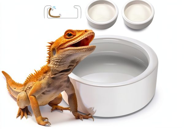 Reptile Food Dish Bowl, Worm Water Dish Small (2.75in) Lizard Gecko Ceramic Pet Bowl, Mealworms Bowls for Leopard Bearded Dragon Chameleon Hermit Crab Dubia Cricket Anti-Escape Superworm Feeder 2 Pack-0
