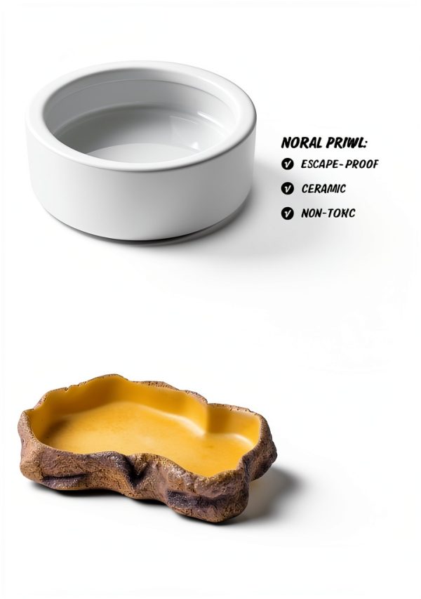 Reptile Food Dish Bowl, Worm Water Dish Small (2.75in) Lizard Gecko Ceramic Pet Bowl, Mealworms Bowls for Leopard Bearded Dragon Chameleon Hermit Crab Dubia Cricket Anti-Escape Superworm Feeder 2 Pack-2