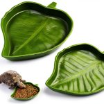 Leaf Reptile Food Water Bowl Boao Terrarium Bowls 2 Sizes Leaf Design-0