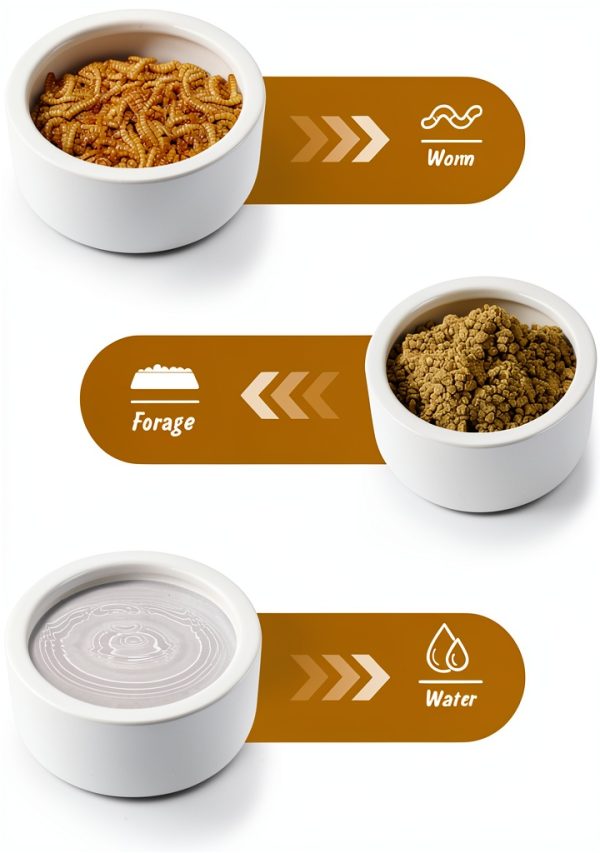 Reptile Food Dish Bowl, Worm Water Dish Small (2.75in) Lizard Gecko Ceramic Pet Bowl, Mealworms Bowls for Leopard Bearded Dragon Chameleon Hermit Crab Dubia Cricket Anti-Escape Superworm Feeder 2 Pack-4