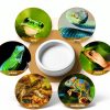 Reptile Food Dish Bowl, Worm Water Dish Small (2.75in) Lizard Gecko Ceramic Pet Bowl, Mealworms Bowls for Leopard Bearded Dragon Chameleon Hermit Crab Dubia Cricket Anti-Escape Superworm Feeder 2 Pack-5