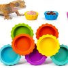 Crested Gecko Bowl 7 Pack – Eudimysx Silicone Dish-0