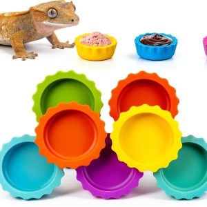 Crested Gecko Bowl 7 Pack – Eudimysx Silicone Dish-0