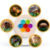 Crested Gecko Bowl 7 Pack – Eudimysx Silicone Dish-5